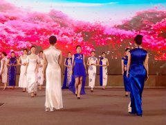 重慶第五屆職業(yè)教育活動(dòng)周啟動(dòng)，茶藝、扎染、3D打印與禮儀文化共展職教風(fēng)采